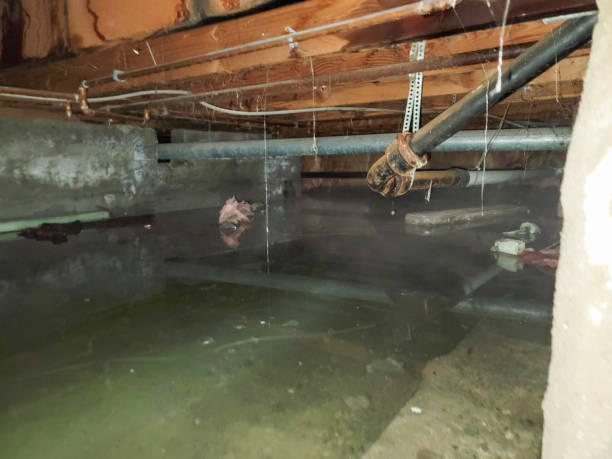 Best Water damage restoration near me  in Sprague, WV