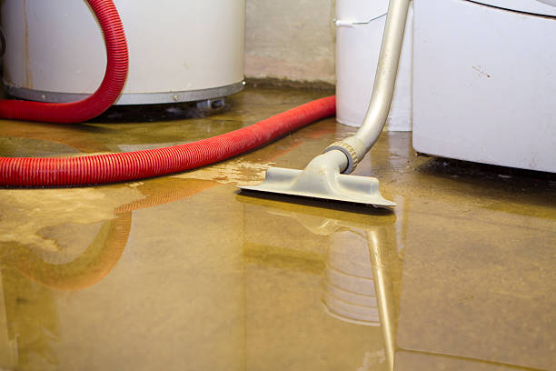 Carpet water damage restoration in Sprague, WV