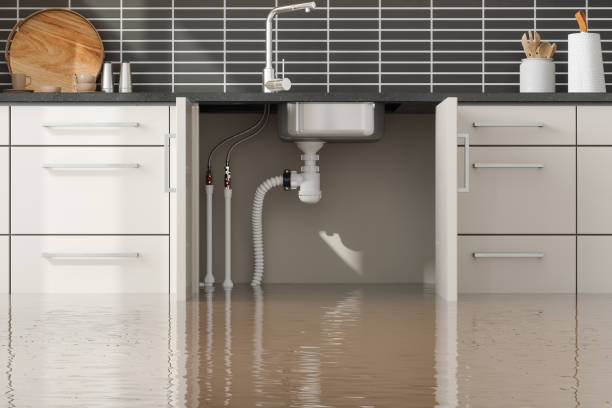 Best Water damage restoration near me  in Sprague, WV