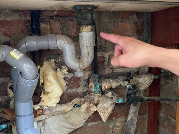 Best Ceiling water damage repair  in Sprague, WV