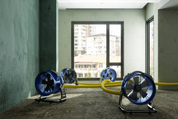 Best Ceiling water damage repair  in Sprague, WV